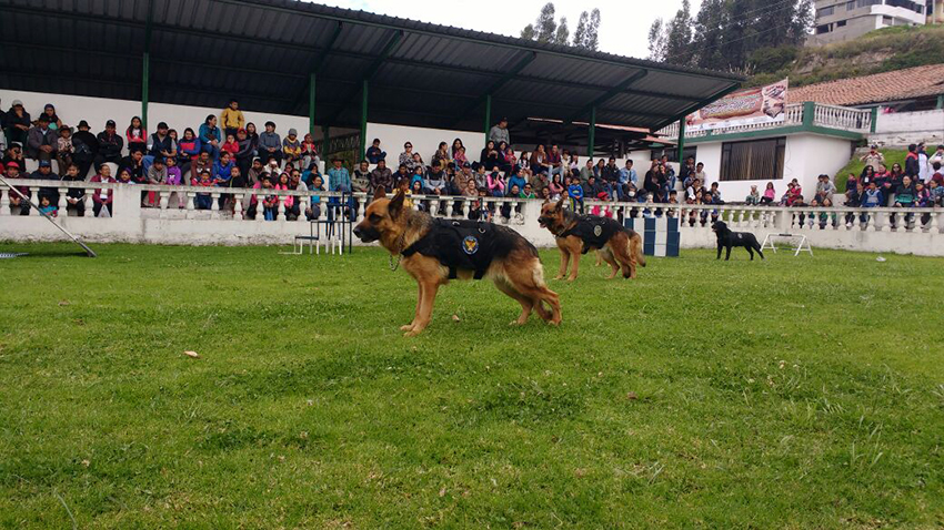 feriaweb3