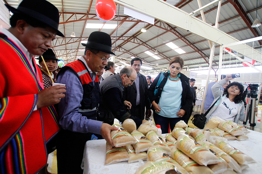 CotopaxiViva2016 3