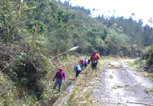 drid0109 04