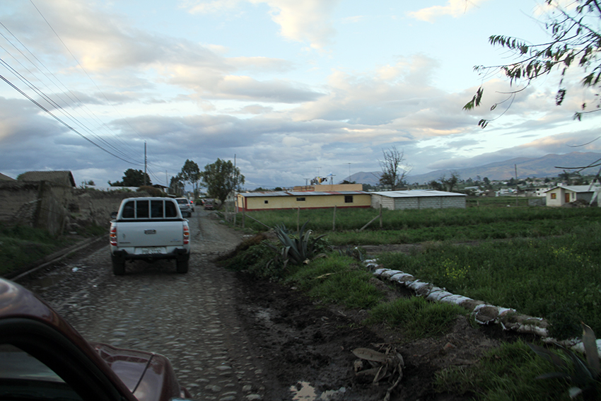 lindera1web