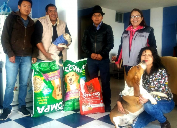 Entrega de alimento para perros abandonados