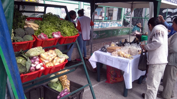 Productores cuentan con espacios para sus productos