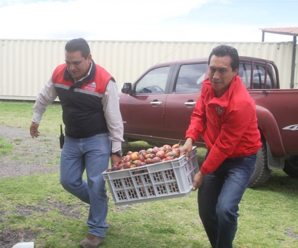 Entrega de tomates en el Hogar para Sus Niños 
