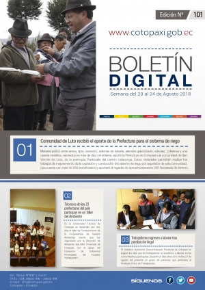 BOLETÍN # 101