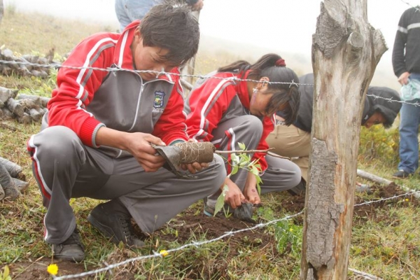 DIGEA sembró 2.000 plantas nativas en los páramos de Chugchilán