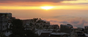 Pangua