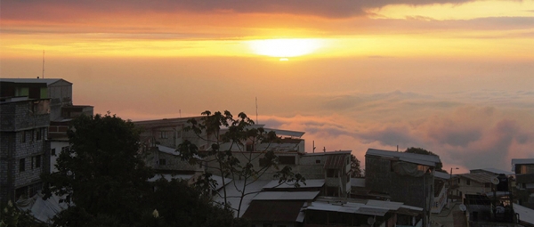 Pangua