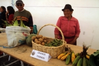 La primera feria de granos tiernos se desarrolló con buena acogida