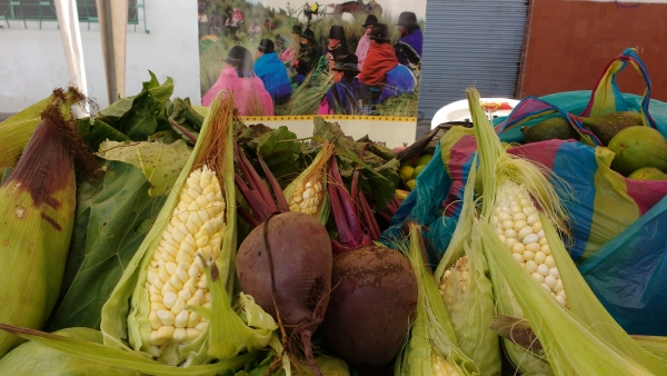 Productos agrícolas orgánicos