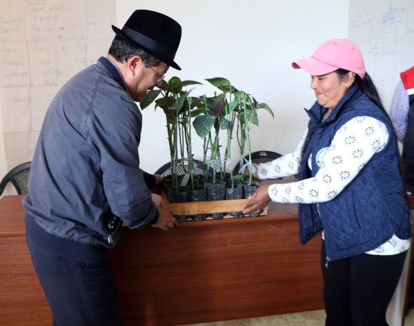 Prefecto entrega plantas frutales en Culaguango