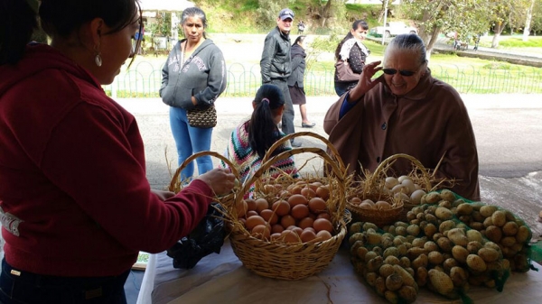 Más de medio millón de dólares circularon en la Feria Cotopaxi Vive 2017