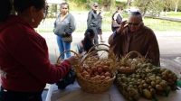 Más de medio millón de dólares circularon en la Feria Cotopaxi Vive 2017