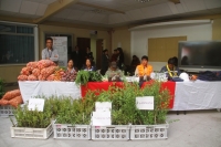Productos en exhibición 