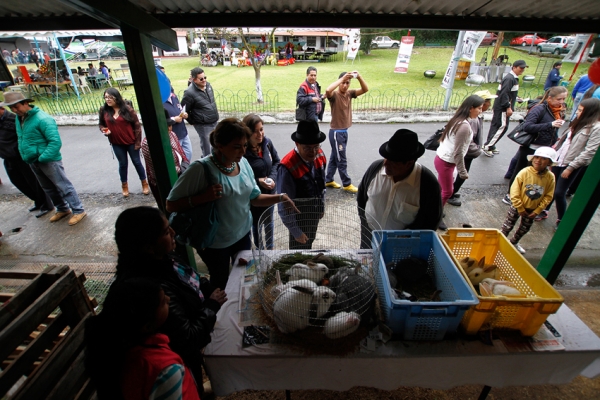 CERCA DE 10.000 PERSONAS VISITARON LA FERIA ORGANZADA POR LA PREFECTURA DE COTOPAXI