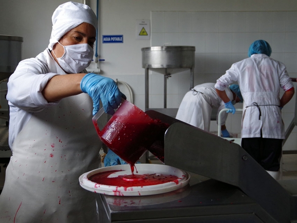 Pulpa de fruta de la industria cotopaxense se comercializa en el mercado nacional