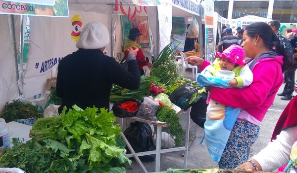 Productores realizarán feria los lunes en el mercado mayorista de Latacunga