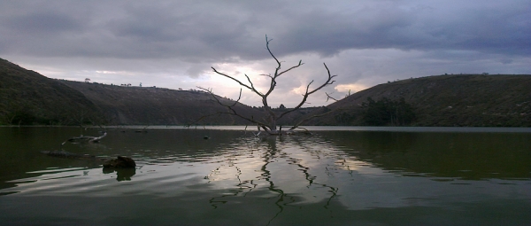 Salcedo