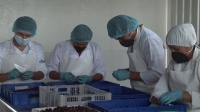 Jorge Guamán Cotopaxi markata apuk Pataín llaktapi agropecuarios llankaykunamanta rikukrirkami