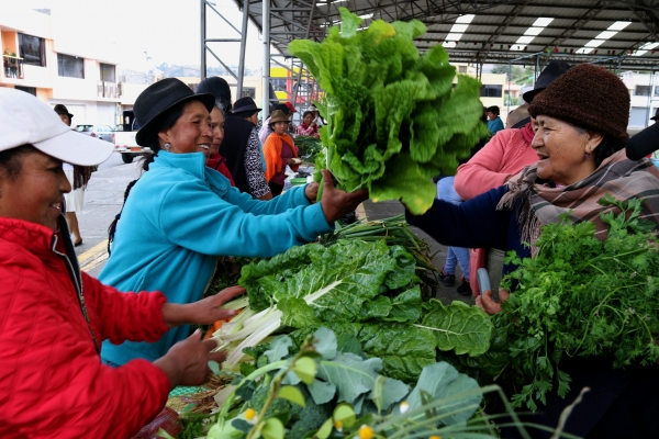 Feria Agroecológica &quot;De la mata a la olla&quot;