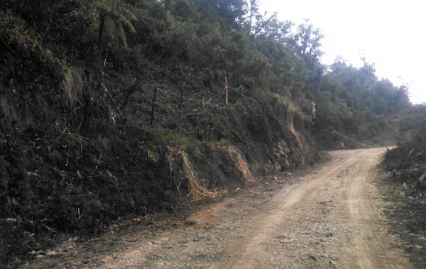 Vía Guayacán- Guasaganda - Pucayacu, adjudicada a empresa cotopaxense