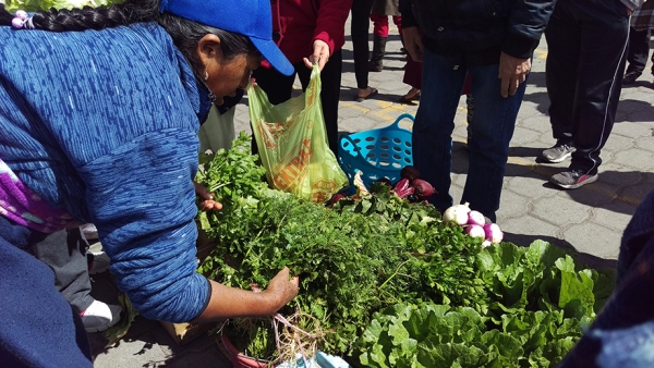 Inicia la feria agrícola en el mercado mayorista de Latacunga