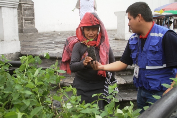 GAD Provincial de Cotopaxi entregó plantas nativas