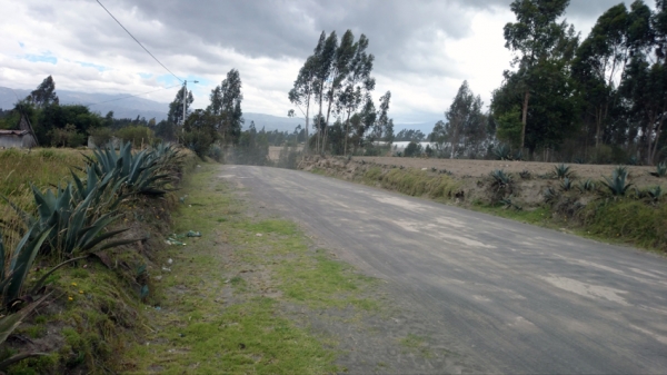 Mesa Nº 3 prepara ruta de evacuación