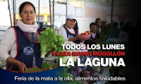 La Laguna katuna pampakunamanmi yallirka “De la Mata a la Olla” murukunaka