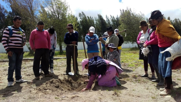 Mil 500 plantas fueron sembradas en la unidad educativa “Indoamérica” de Canchagua