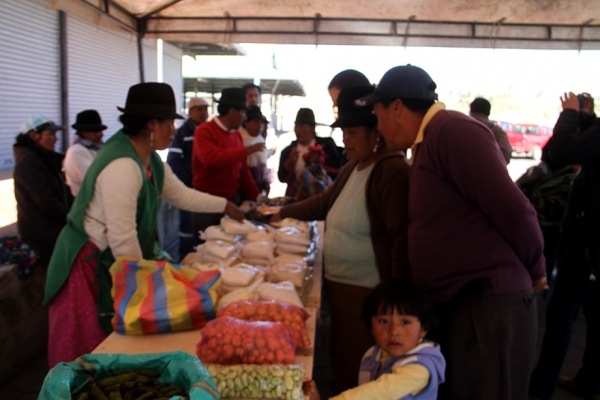 Feria agrícula llankaykuna ña kimsa kanchisri punllakunatami katikushka Mercado Mayorista de Latacunga hatuna pampapi.
